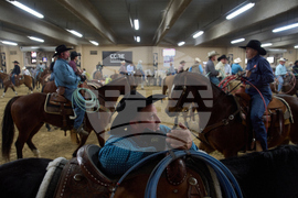 APTOPIX Rodeo Virus Outbreak