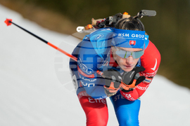 Austria World Cup Biathlon