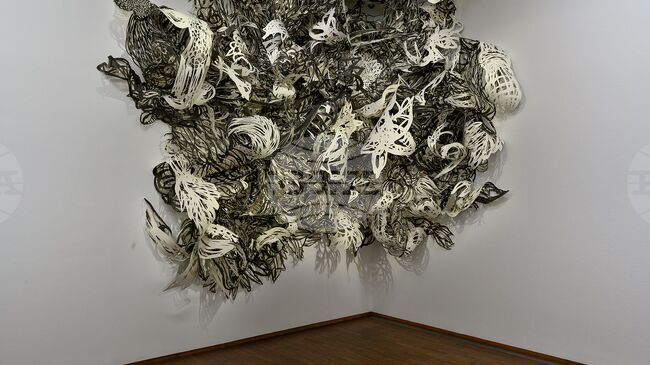 Виенският музей "Албертина" показва "Очарованието на хартията" в изложба 