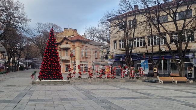Община Велинград организира коледен благотворителен базар в подкрепа на 17-годишната Ивана Николова