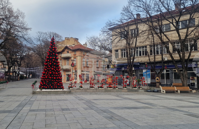 Община Велинград организира коледен благотворителен базар в подкрепа на 17-годишната Ивана Николова