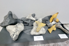 Стара Загора - Фестивал на съвременната керамика