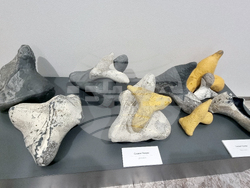 Стара Загора - Фестивал на съвременната керамика