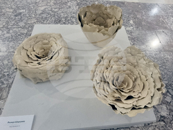 Стара Загора - Фестивал на съвременната керамика