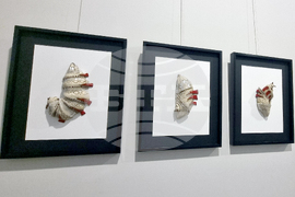 Стара Загора - Фестивал на съвременната керамика