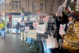 Дом на Европа - протест в защита за правата на палестинците