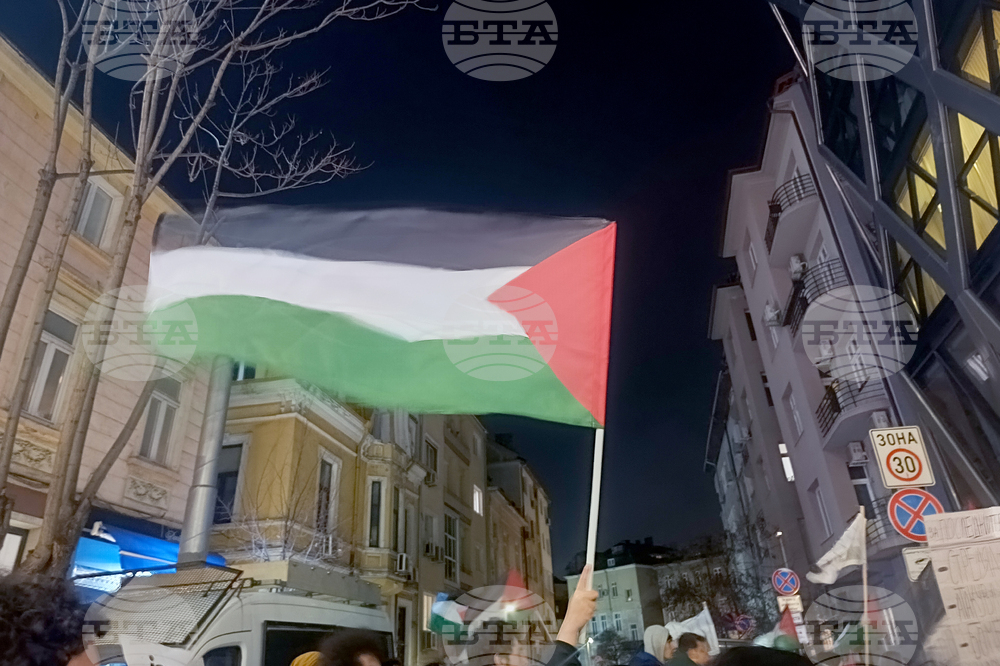 Дом на Европа - протест в защита за правата на палестинците