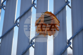 Immigration Federal Enforcement Chicago