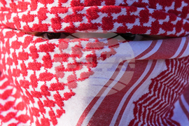 Immigration Federal Enforcement Chicago