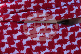 Immigration Federal Enforcement Chicago