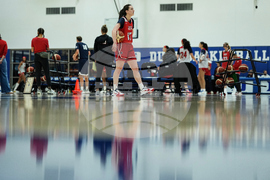 USA Women Basketball