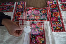 Mexico President Fashion