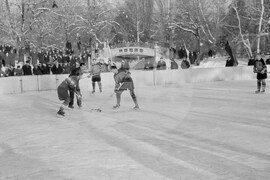 Хокей на лед в езерото „Ариана“ през 1953 година