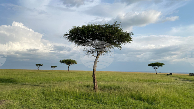 Турски бизнесмен е бил убит по време на сафари в Етиопия
