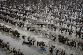 Canada Extreme Weather
