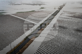 Canada Extreme Weather