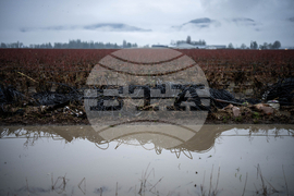 Canada Extreme Weather