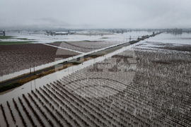 Canada Extreme Weather