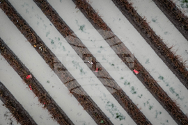 Canada Extreme Weather