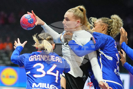 APTOPIX Netherlands World Handball