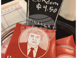 Trump Epstein Congress