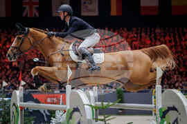 Switzerland Equestrian