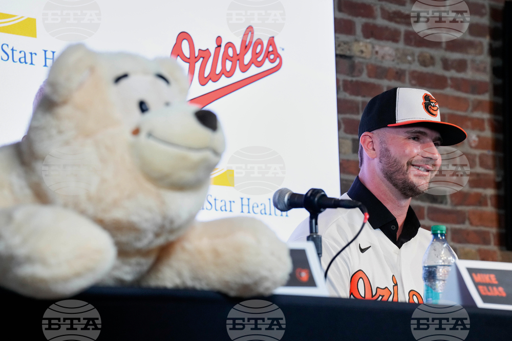 Orioles Alonso Baseball