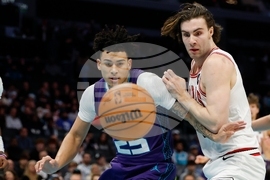 Bulls Hornets Basketball