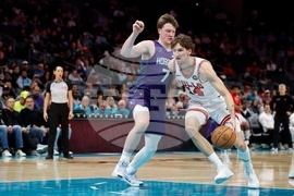 Bulls Hornets Basketball