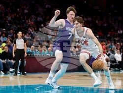 Bulls Hornets Basketball