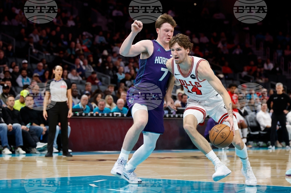 Bulls Hornets Basketball