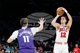 Bulls Hornets Basketball
