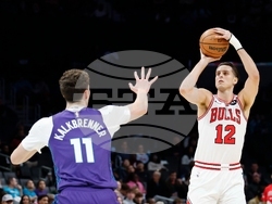 Bulls Hornets Basketball