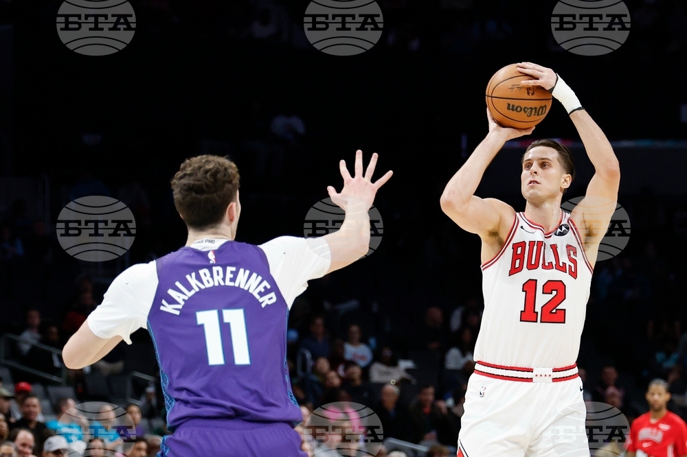 Bulls Hornets Basketball