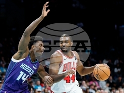 Bulls Hornets Basketball