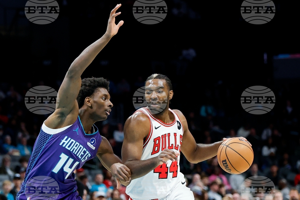 Bulls Hornets Basketball