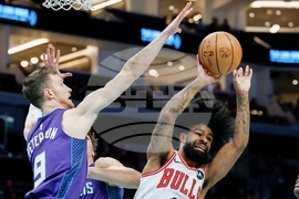 Bulls Hornets Basketball