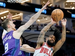 Bulls Hornets Basketball
