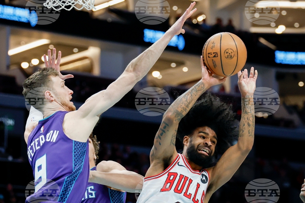 Bulls Hornets Basketball