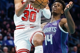 Bulls Hornets Basketball