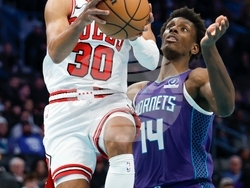 Bulls Hornets Basketball