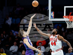 Bulls Hornets Basketball