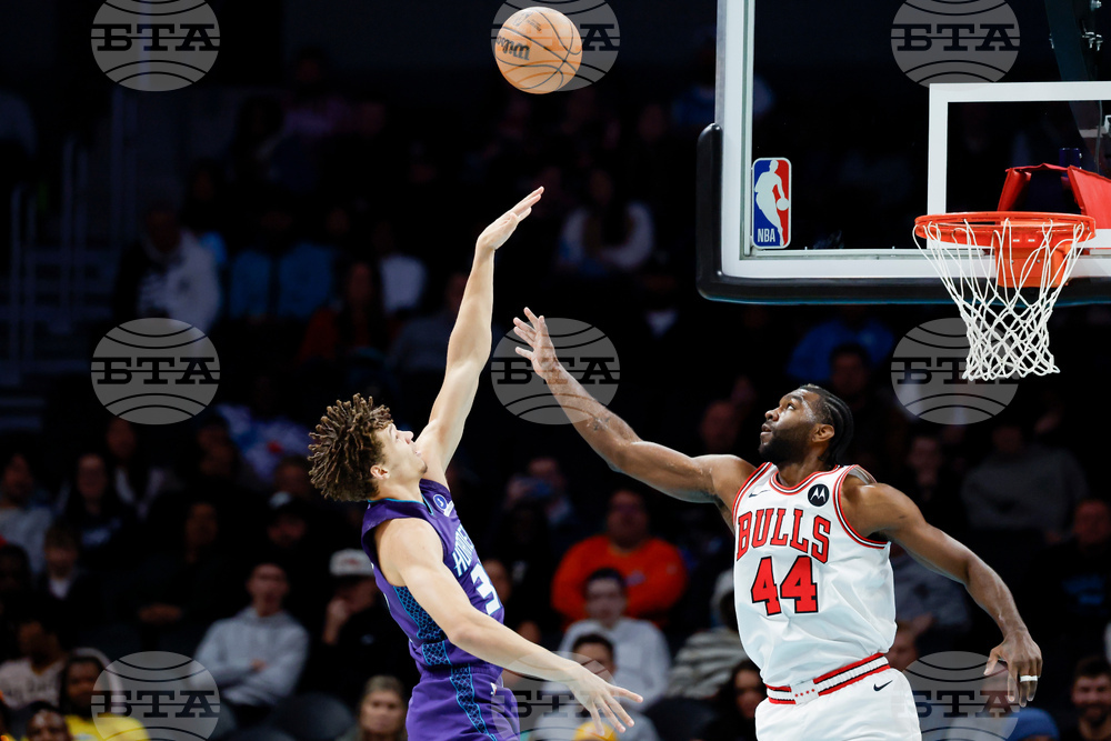 Bulls Hornets Basketball