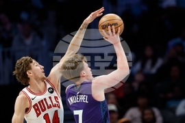 Bulls Hornets Basketball