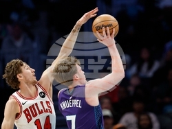 Bulls Hornets Basketball