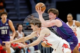 Bulls Hornets Basketball