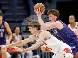 Bulls Hornets Basketball