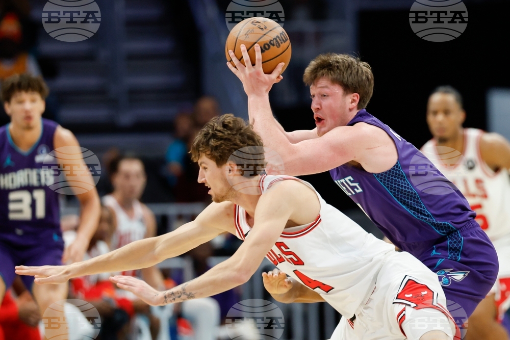 Bulls Hornets Basketball