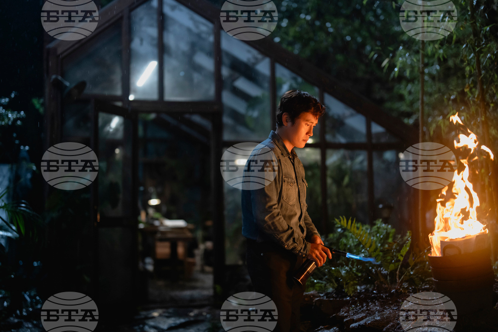 Film Review - No Other Choice