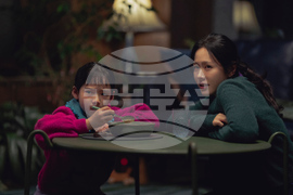 Film Review - No Other Choice